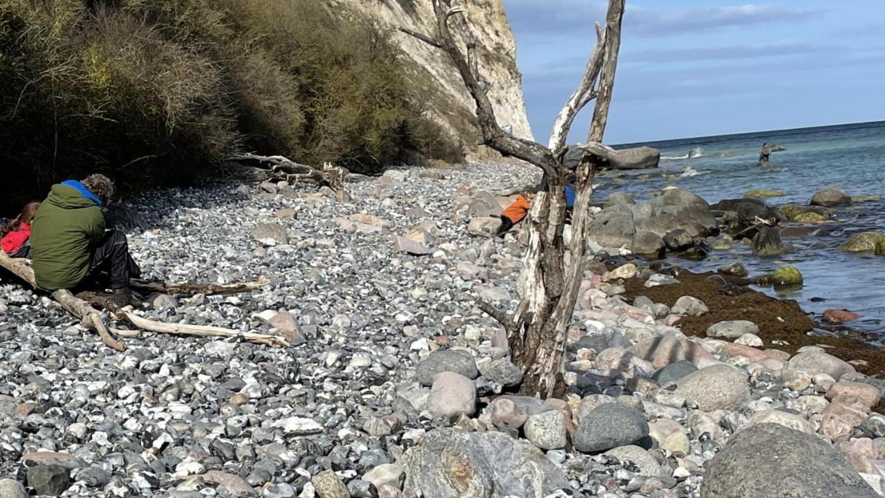 Mare Balticum Urlaub Auf Ruegen Aparthotel Sagard Εξωτερικό φωτογραφία